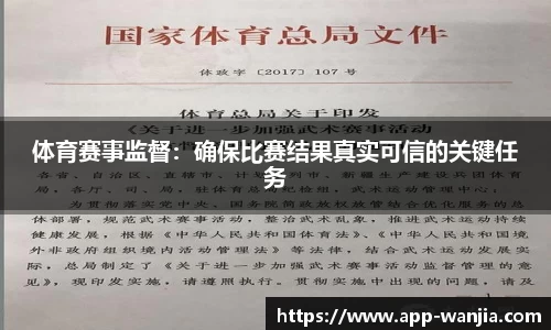 体育赛事监督：确保比赛结果真实可信的关键任务